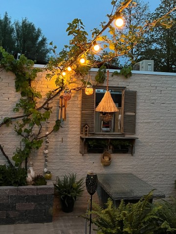 Afbeelding van whatsapp op 2023 09 25 om 1935 0