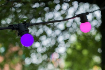 Apartybulbpinkpurple02